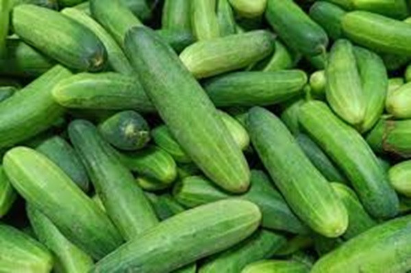 Cucumber (File Picture)