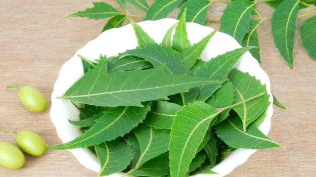 benefits of Neem