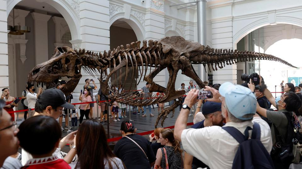 Dinosaur skeleton auction canceled in Hong Kong