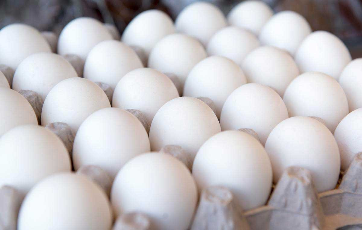 Egg Price Hike