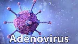 Adeno Virus