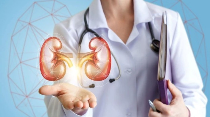 Kidney Problem