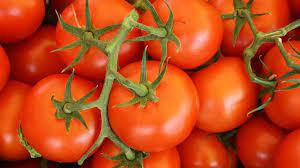 Tomatoes: