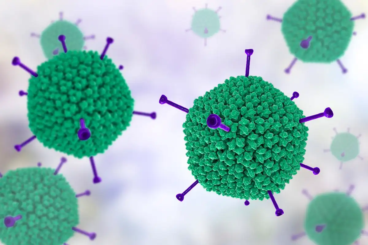 Adino Virus