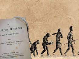 Darwin’s theory (Symbolic Picture)