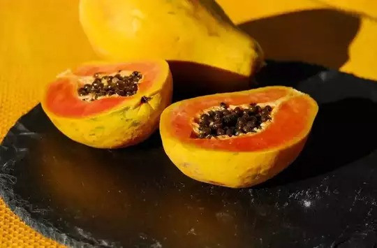 Papaya