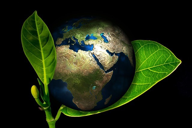 World Environment Day 2023 (Symbolic Picture)