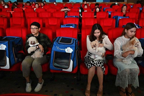 Pet Friendly Cinema