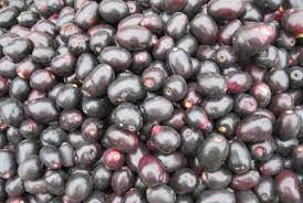 Jamun