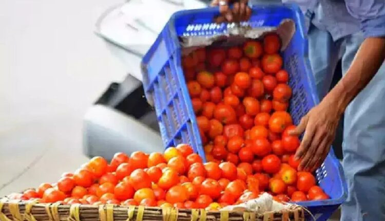 Farmers earn 3 crores in a month by selling tomatoes in Andhra Pradesh