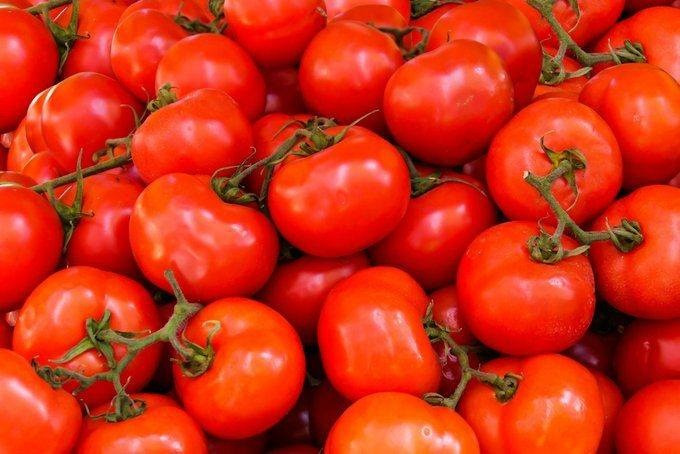 Tomato price