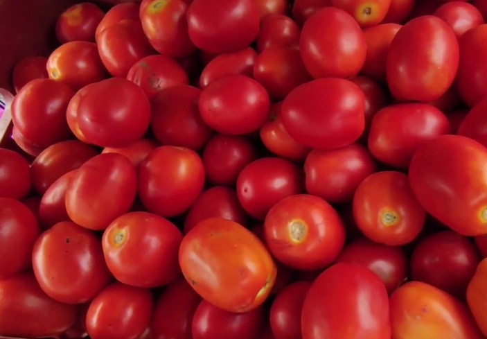 Tomato