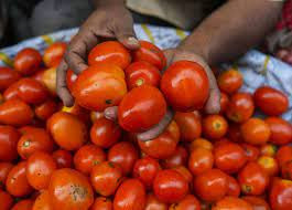 Tomato Price  (Symbolic Picture)