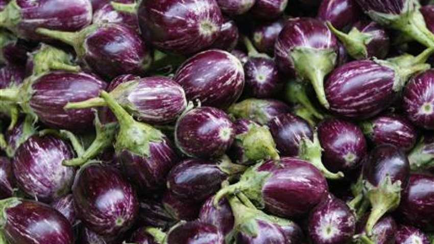 Brinjal Benefits