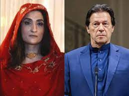 Imran may be killed by poison in prison, fears Bushra Bibi