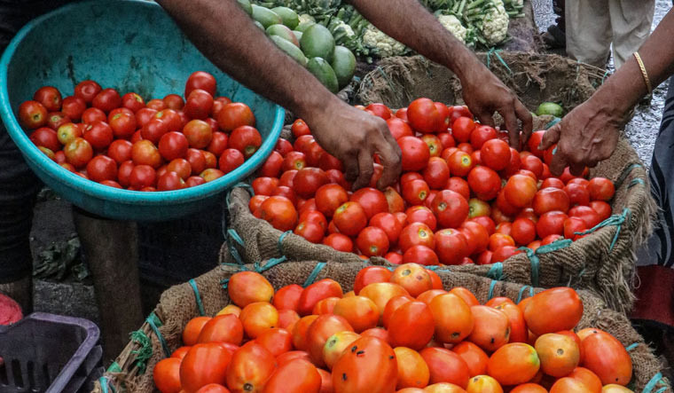 Tomato Price in Market (Symbolic Picture)