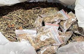 About 40 lakh worth of ganja recovered in Churaibari of Tripura, seized lorry, arrested