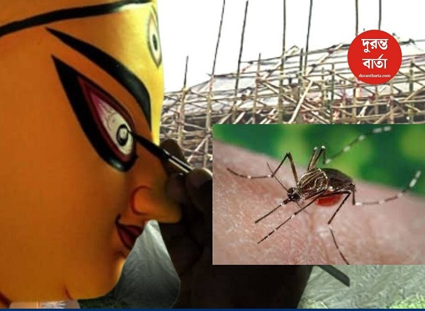 Dengue is increasing before Puja! Keep yourself healthy before Puja in these ways