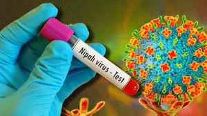 A person infected with Nipah virus in West Bengal, under treatment in Beleghata ID