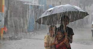 Heavy Rain in Raipur  (Symbolic Picture)
