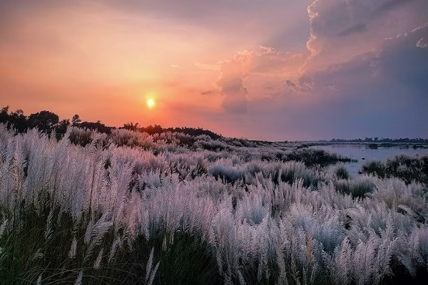 Damodar river is ready to decorate autumn nature!