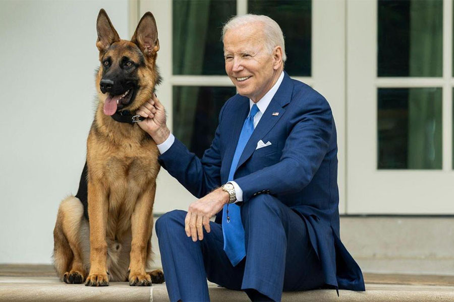 US President Joe Biden’s Dog