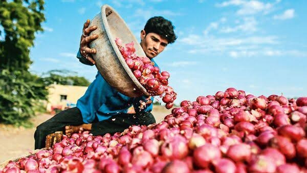 Onion is selling at 80 rupees per kg in Mumbai