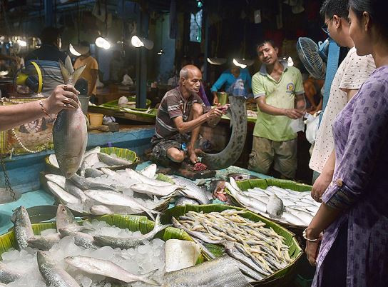 Fish Market (Symbolic Picture)