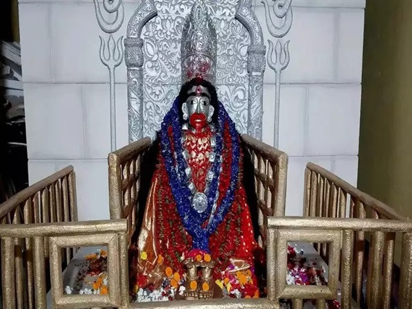 Maa Tara Idol in Coconut (File Picture)