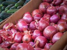 Onion Price Hike (Symbolic Picture)