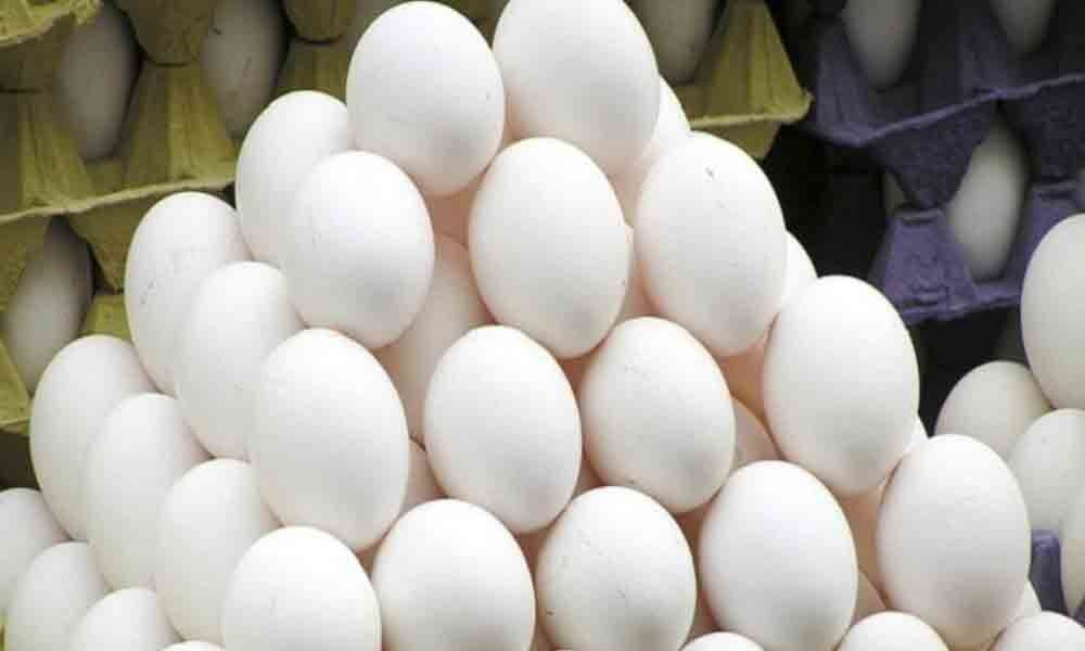 Egg Price (Symbolic Picture)