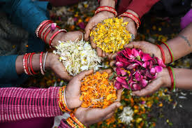 Incense will be made with used flowers, Abir!