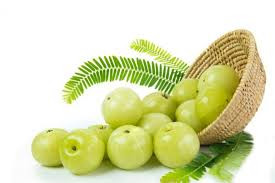 Amla Benefits   (Symbolic Picture)