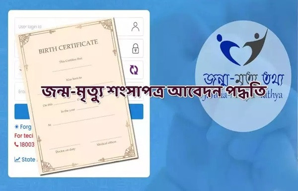 Birth Certificate Online (File Picture)