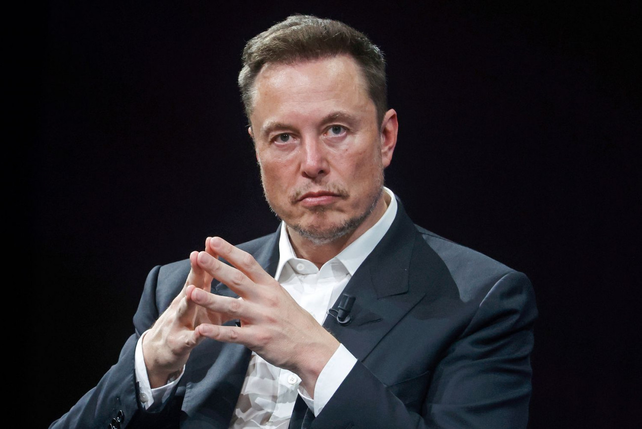 Elon Musk (File Picture)