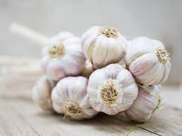 Benefits of Garlic