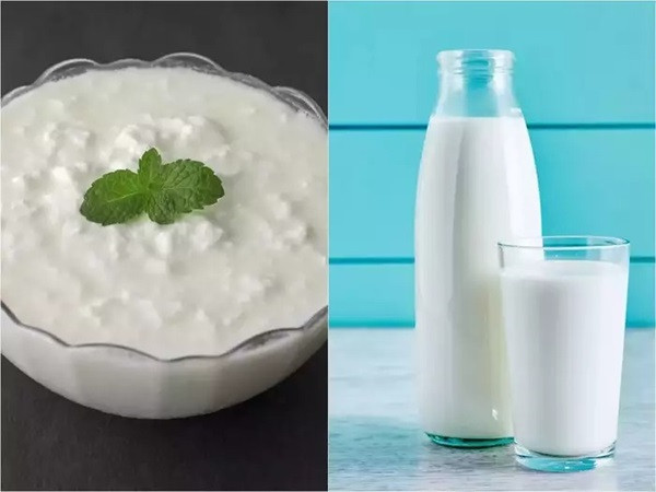 Milk VS Yogurt (File Picture)