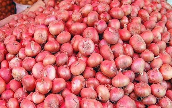 Onion (File Picture)