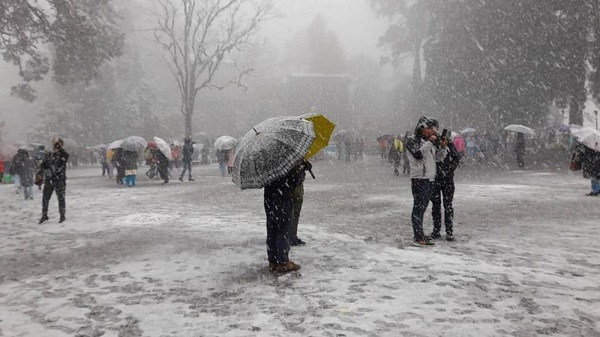 Snowfall at Darjeeling (File Picture)