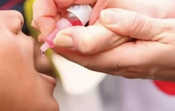 Pulse Polio (File Picture)