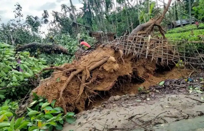 Heavy rains in Assam, ravaged large areas