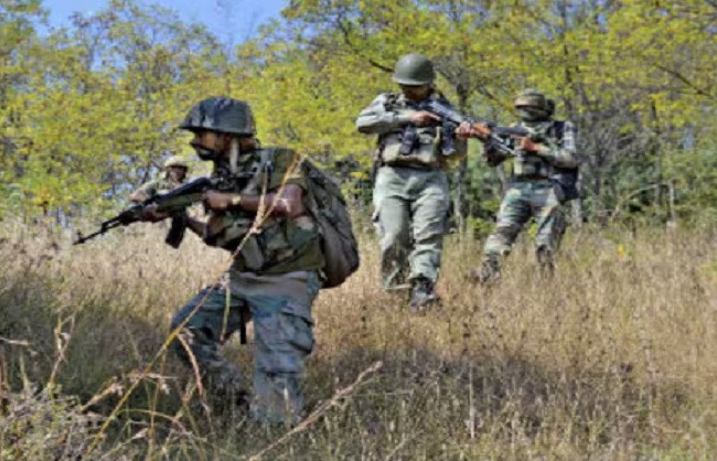 7 naxal killed in encounter (File Picture)