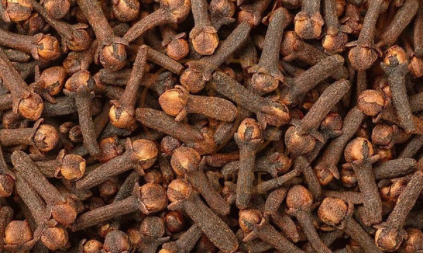 Cloves Benefits (Symbolic Picture)
