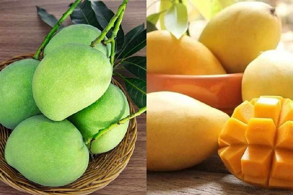 Raw or ripe! Which type of mango is better to eat in terms of nutrition?