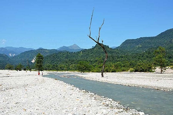 Jayanthi Mahakal Jungle Safari opened with good news for tourists!