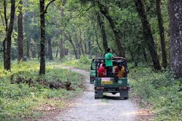 Dooars Jungle Safari (File Picture)