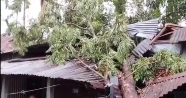 Tufanganj was destroyed by the storm;