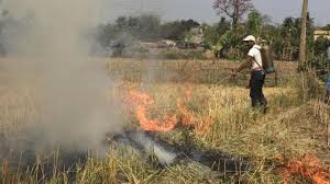A fire broke out in the maize field at the Changrabandha border between India and Bangladesh