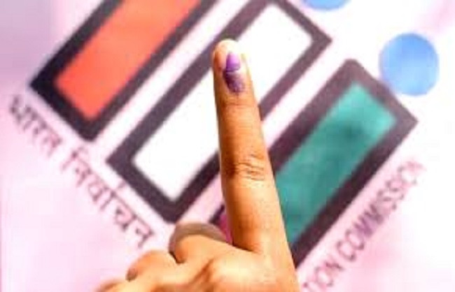Loksabha Election 2024 (File Picture)