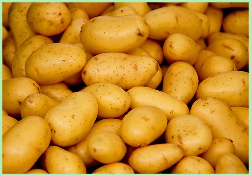 Potato price